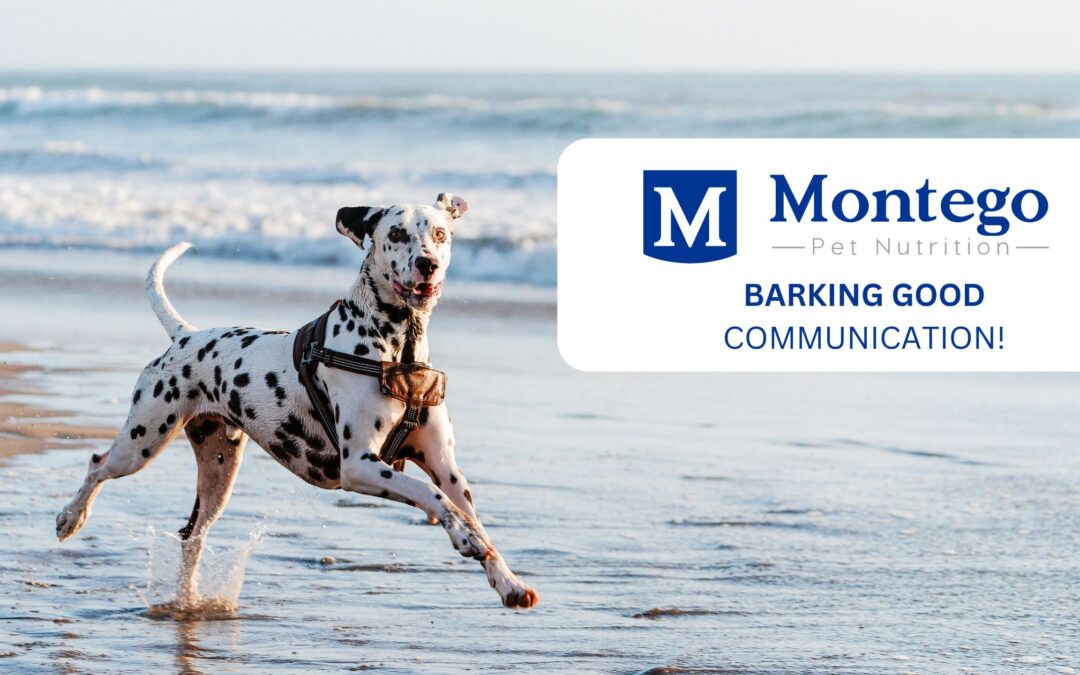 BARKING Good Communication